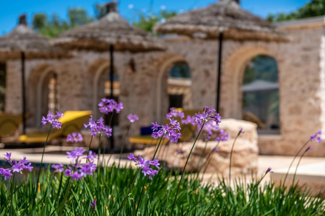 Absolu Beldi Essaouira Bed & Breakfast Dış mekan fotoğraf